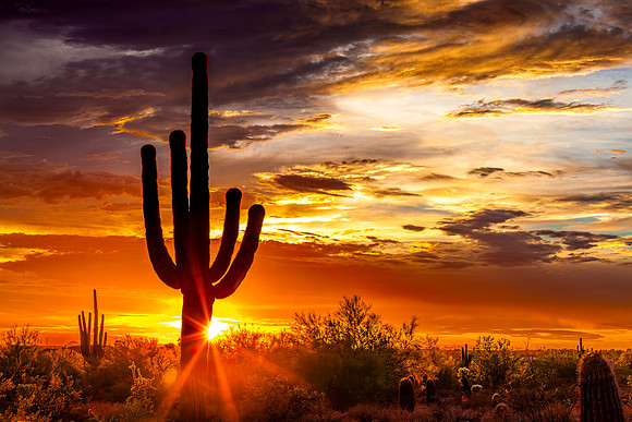 Desert Sunset