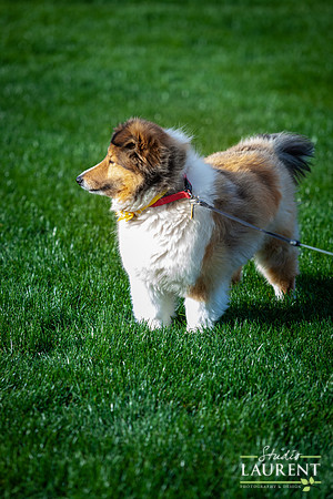 IMG_5392