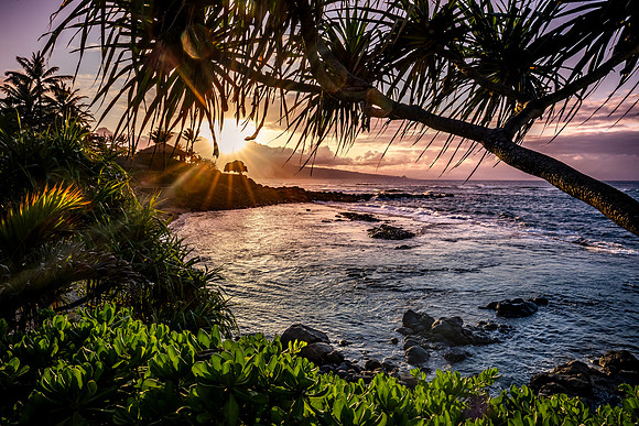 Hawaiian Sunset